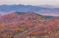 避开香山人潮，住进密云日光山谷木屋，看漫山红叶独享整座山头