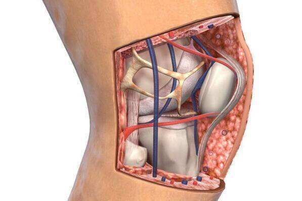 保护膝盖有多重要？膝盖受伤可致骨关节炎发病风险提高六倍