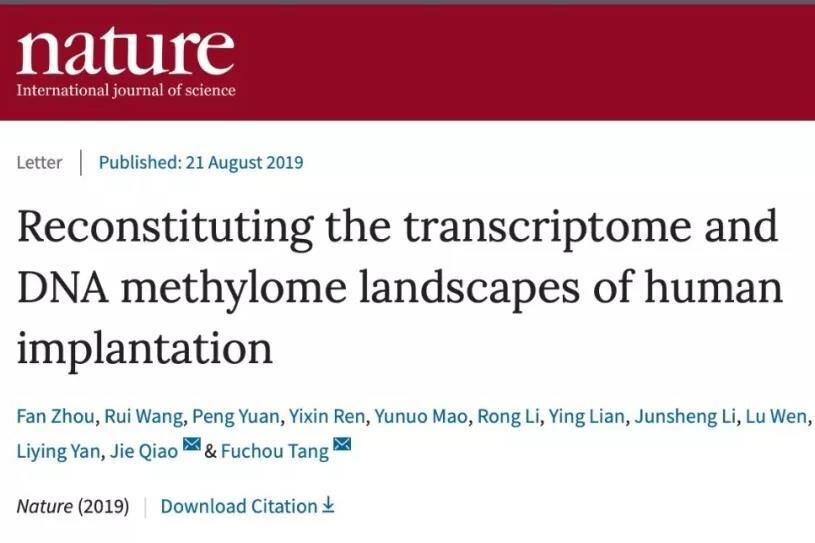 首次解析人类胚胎着床过程，《Nature》发表汤富酬、乔杰团队成果