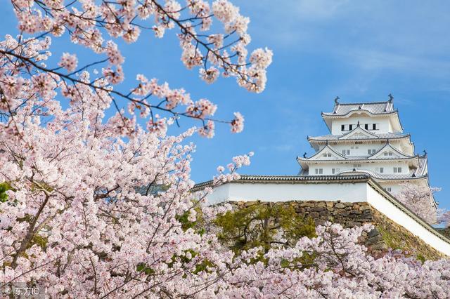 前线｜百度无人驾驶“阿波龙”年内上市 拟向日本出口技术支持