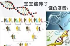 太准了！夫妻谁的基因决定了孩子智商和相貌？