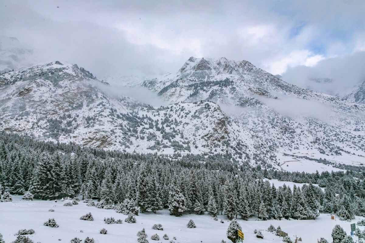 它是世界最壮观冰川之一，每年七八月定时雪崩，许多人抢着来看