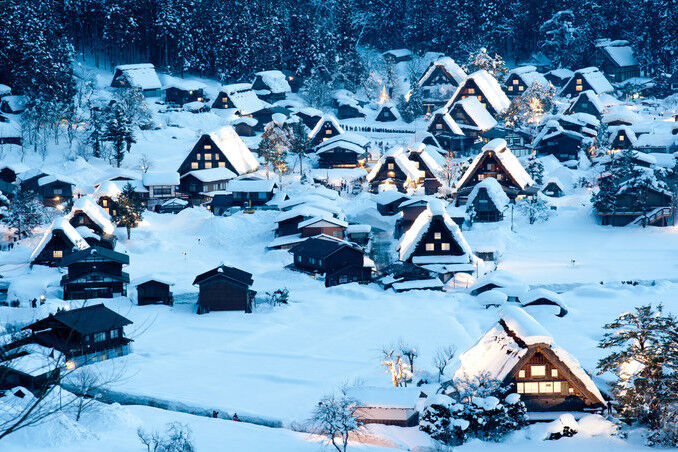 去了那么多次的东北雪乡，这个冬天我想去日本白川乡