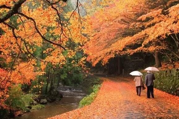 为秋天的赏红叶做准备，日本北海道哪里是最佳的红叶拍摄地