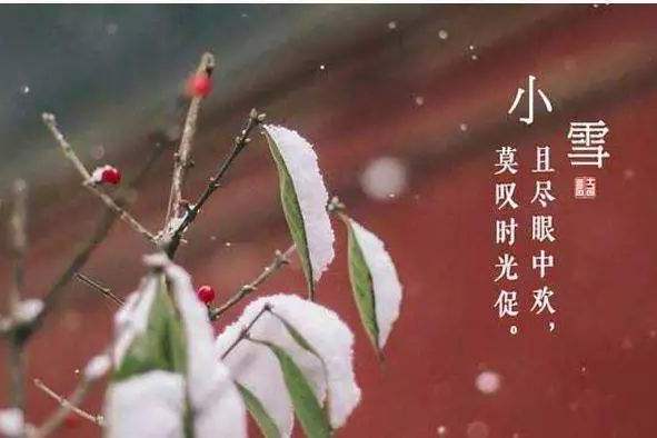 小雪养生：气寒将雪，清补藏阳