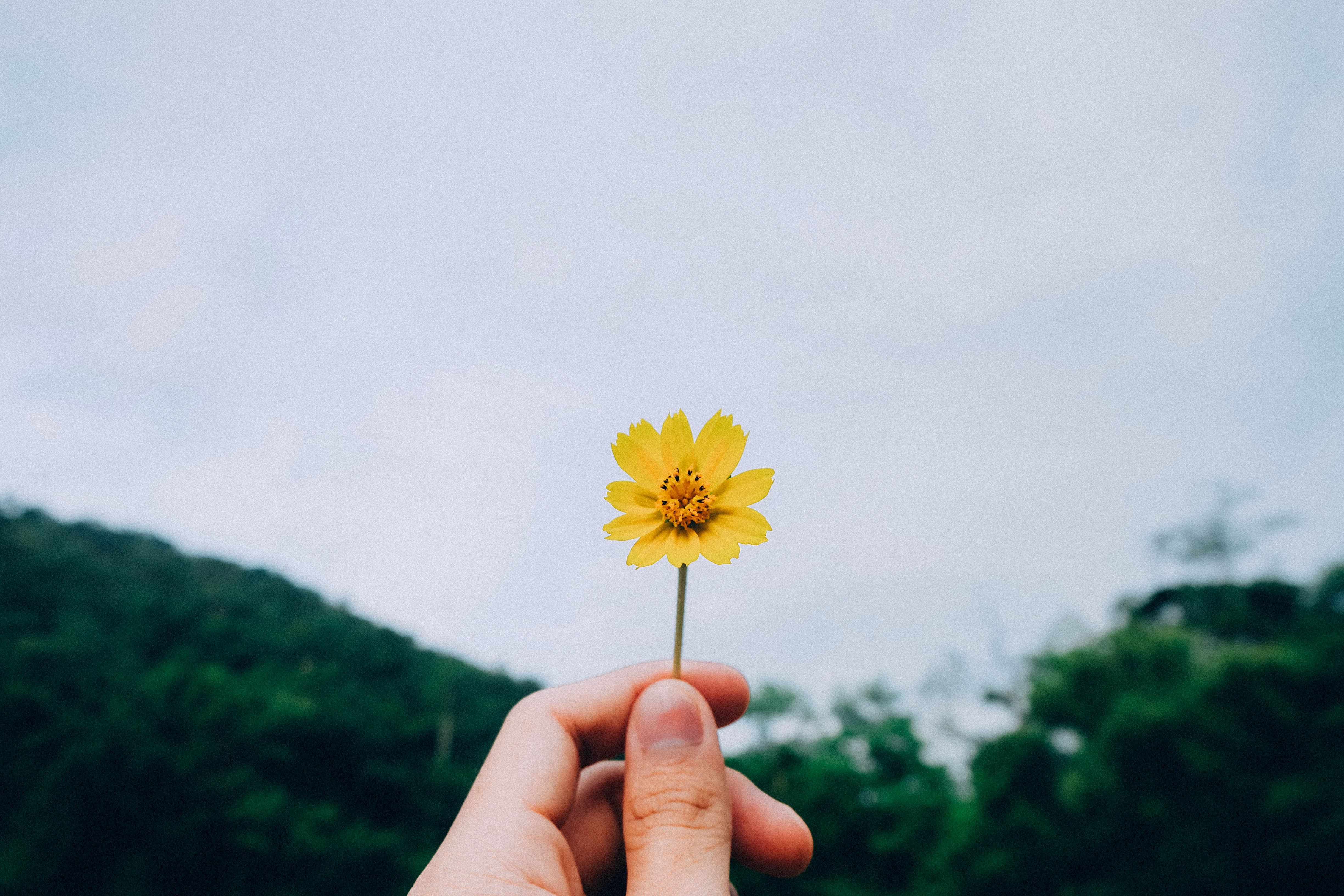 送走春天最后一个节气，就要一秒入夏了！