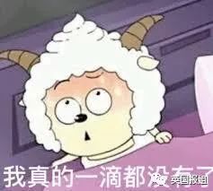 “姐妹嘴上说双十一不买，暗地里却找了8个前男友帮她盖楼！”