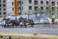 内蒙二连浩特游玩，到处都是蒙古国开来的汽车，看看都开什么车