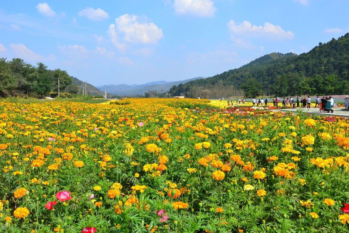 铜川，一个五线城市，是如何挤进“中国最具幸福感城市”的？