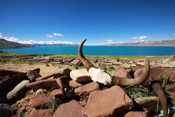 西藏藏北这地，由于地形闭塞竟还形成了相对温暖湿润的小气候！