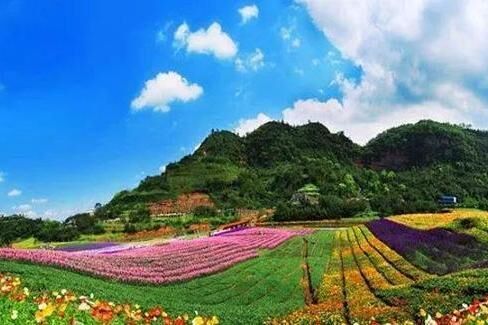 重庆一日游，花田溪谷游玩攻略，心动与心跳双重体验！