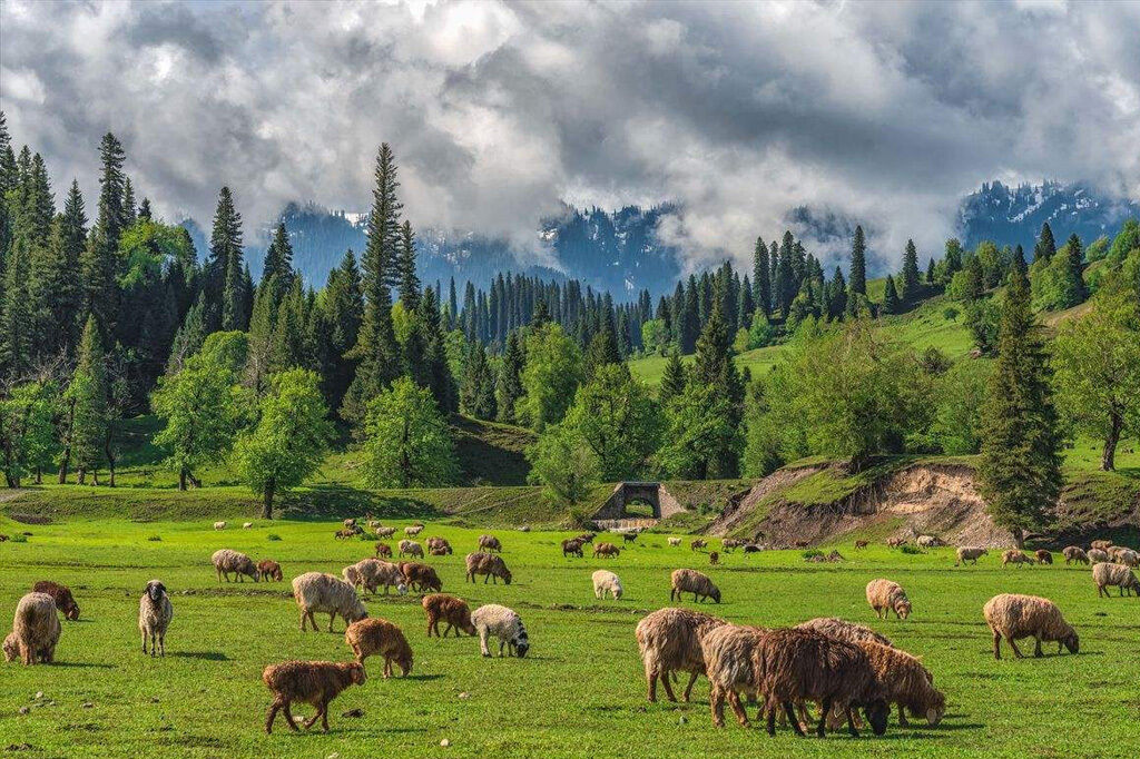 新疆旅游必去的八大景点，你有去过吗？