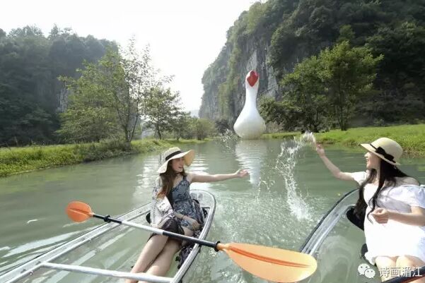 湄江景区惊现大白鹅