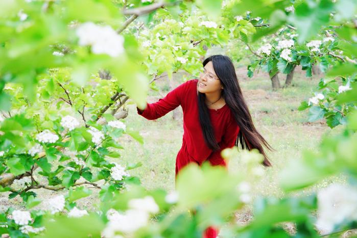 春日赏花秘籍，河北的这座小城上万亩山楂花盛放