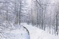 雪后最美的地方，原来是这里