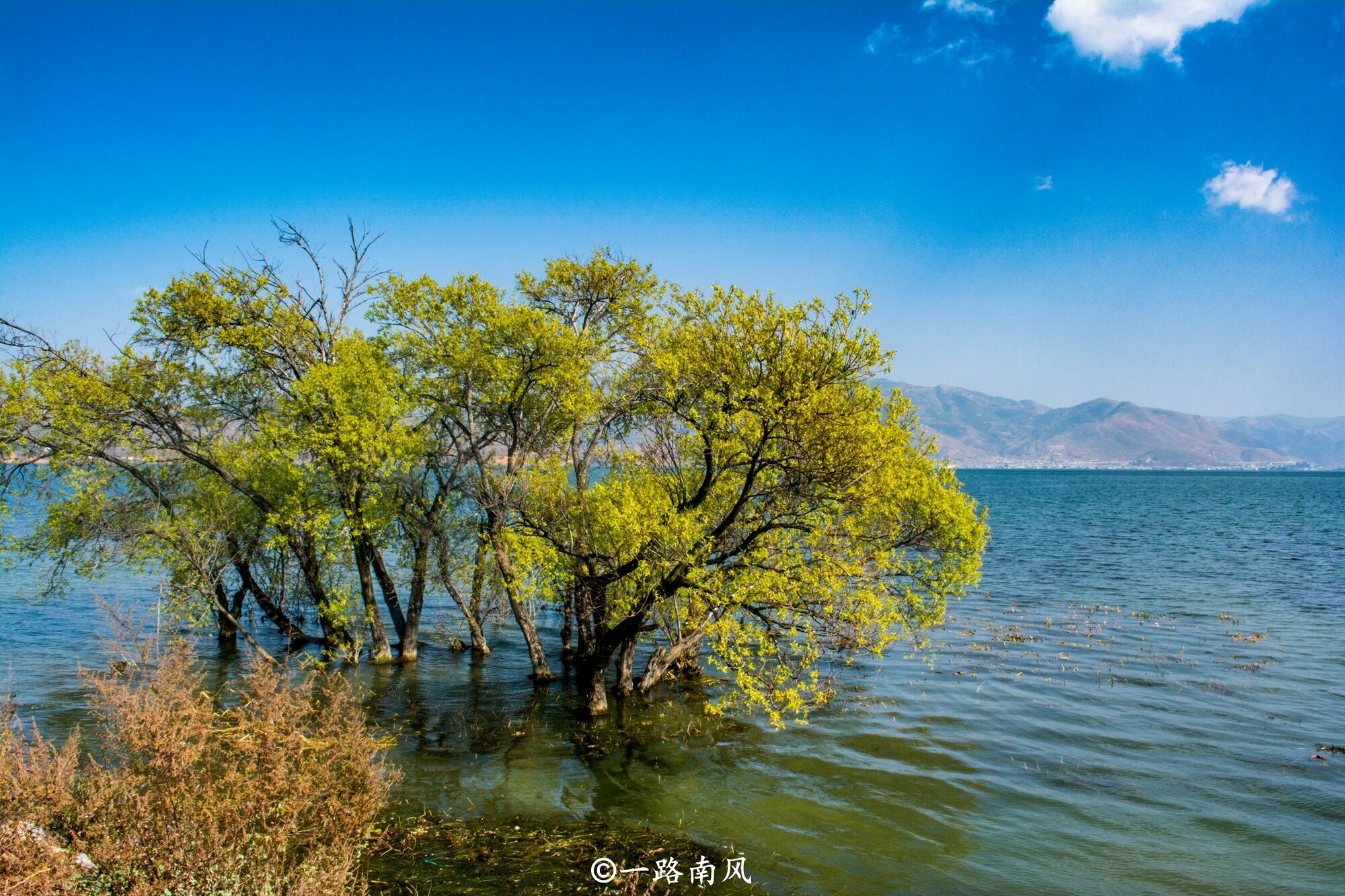 云南被称为“中国最特别的省份”，没有二三线城市，景色美如画！