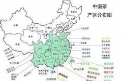 记下这份好茶地图，走到哪都能喝好茶