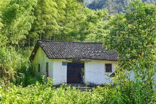 池州有个古村，村民都姓“严”，村里古朴清香，宛若世外桃源