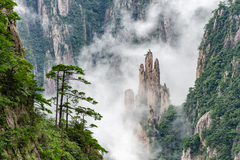 黄山云海，旅行中遇见地球上最美丽的风景