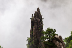 黄山西海大峡谷：松枝吐翠 万物竞秀