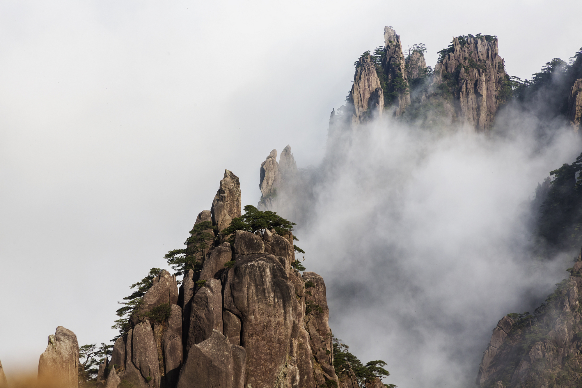 黄山风景区蝉联5A级景区品牌百强榜“十连冠”