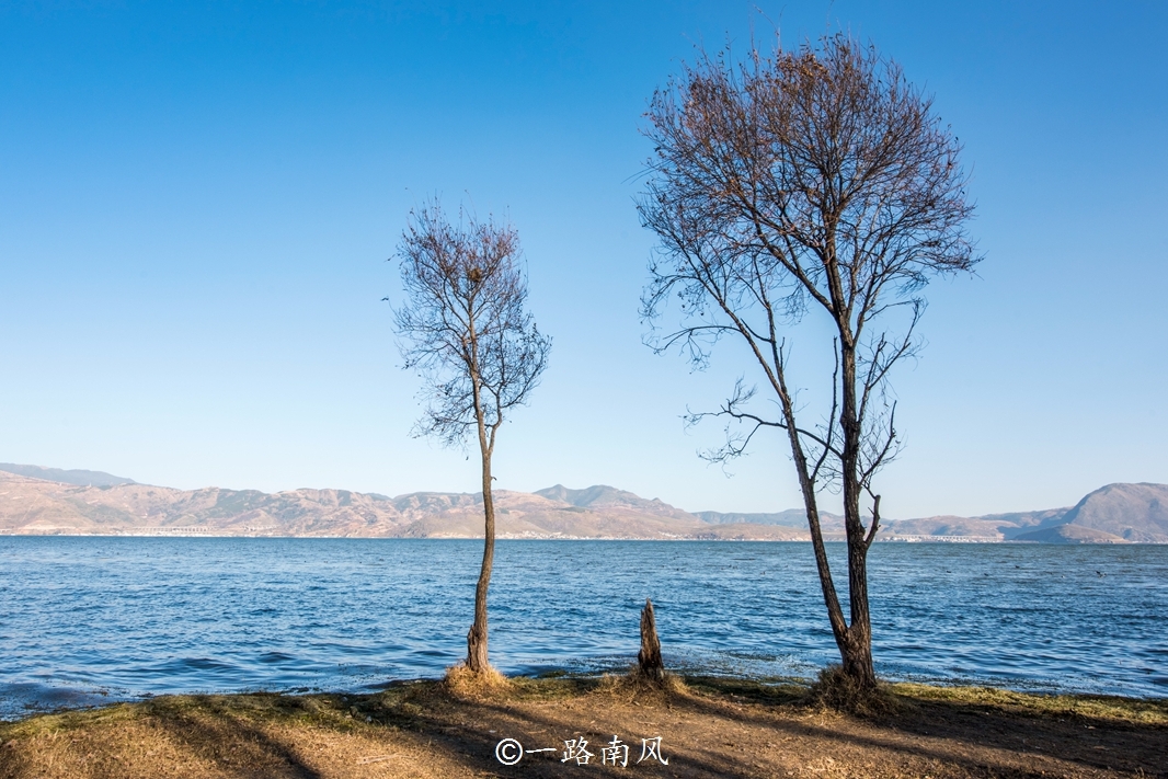 云南洱海最美的半岛，“海上森林”好梦幻，看一眼就爱上！