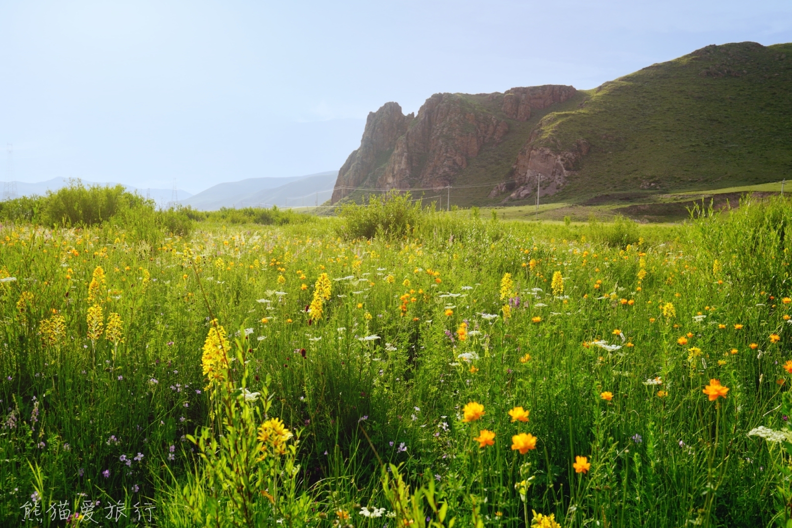 山川湖泊花海森林，夏季平均17.4度，这里是高配版的草原避暑圣地