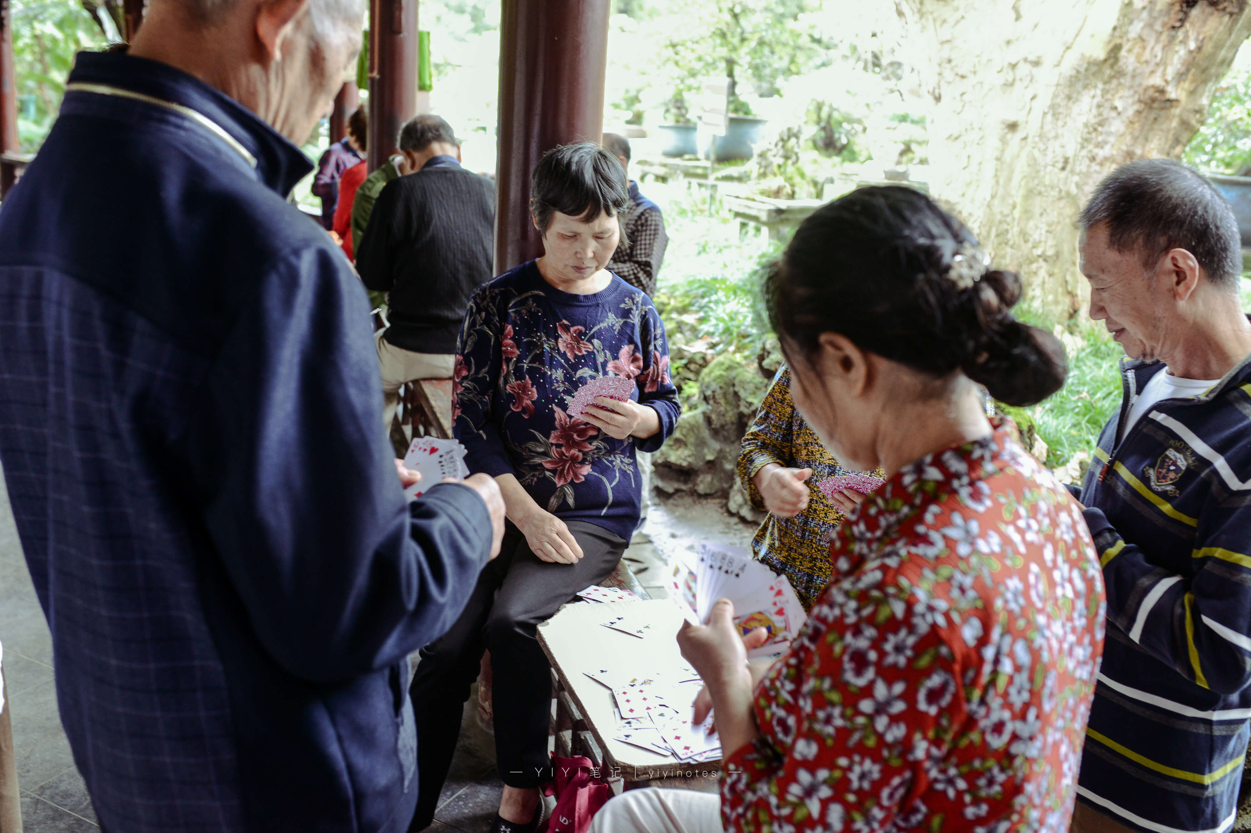 成都人每天都在这里喝茶打牌掏耳朵，是不是很羡慕？