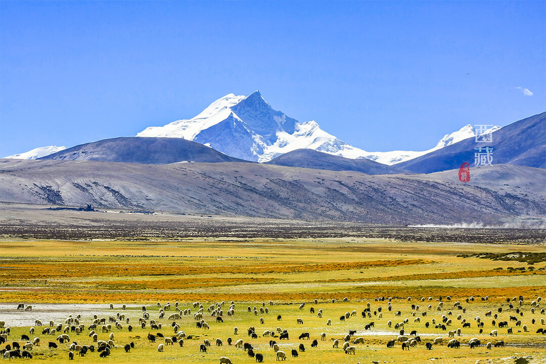 世界14座超8000米的山峰，唯一一座完全在中国境内的竟是它