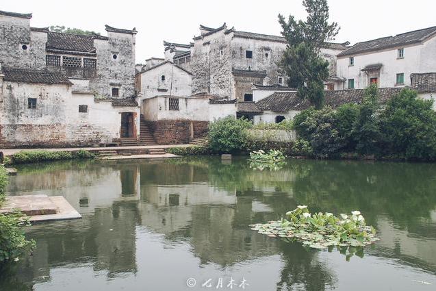 浙江有个神秘的村庄，格局像“八阵图”，住着大量诸葛亮的后裔