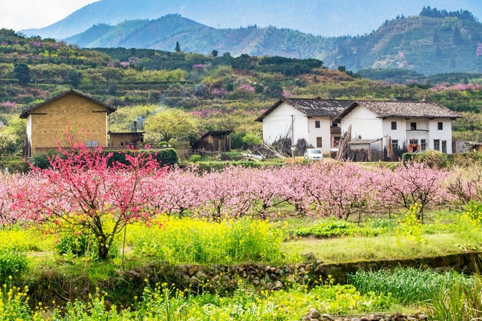 广东最美的乡村，漫山遍野开满鲜花，像画像仙境