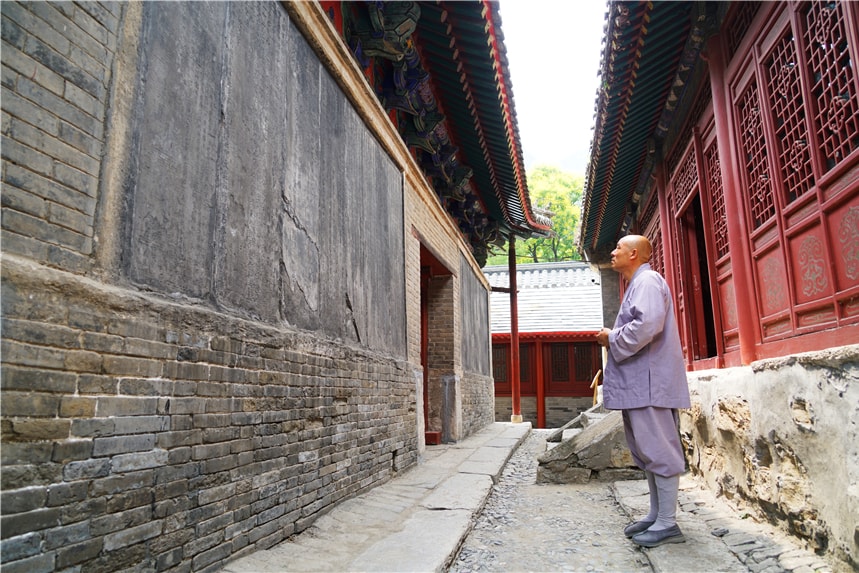 京津冀踏春赏花，华北保存完好的唯一原始次生林，可和苏杭媲美