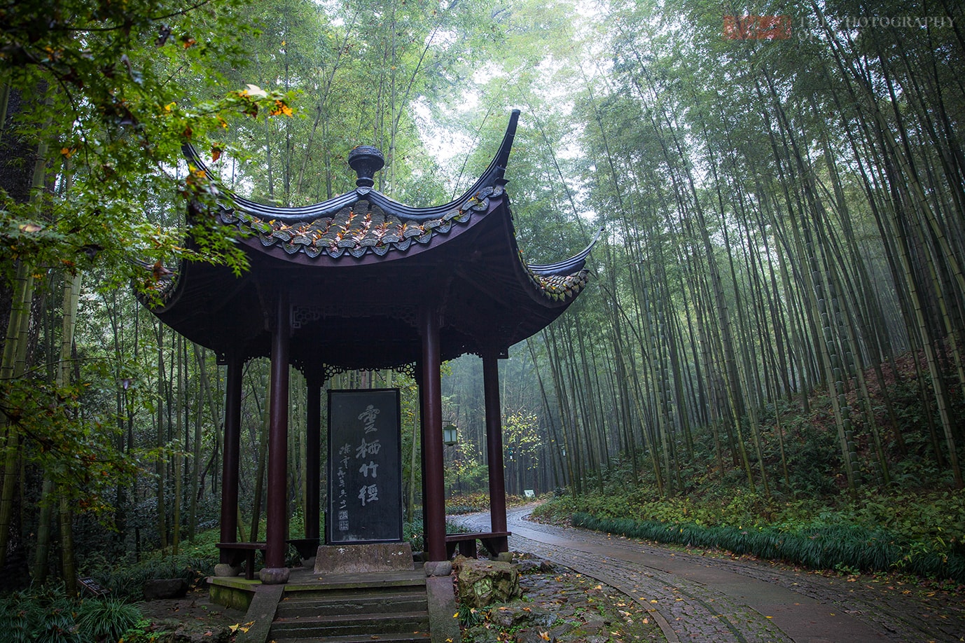 杭州太给力了！除了西湖又有一批景区免费开放了，赶紧收好了