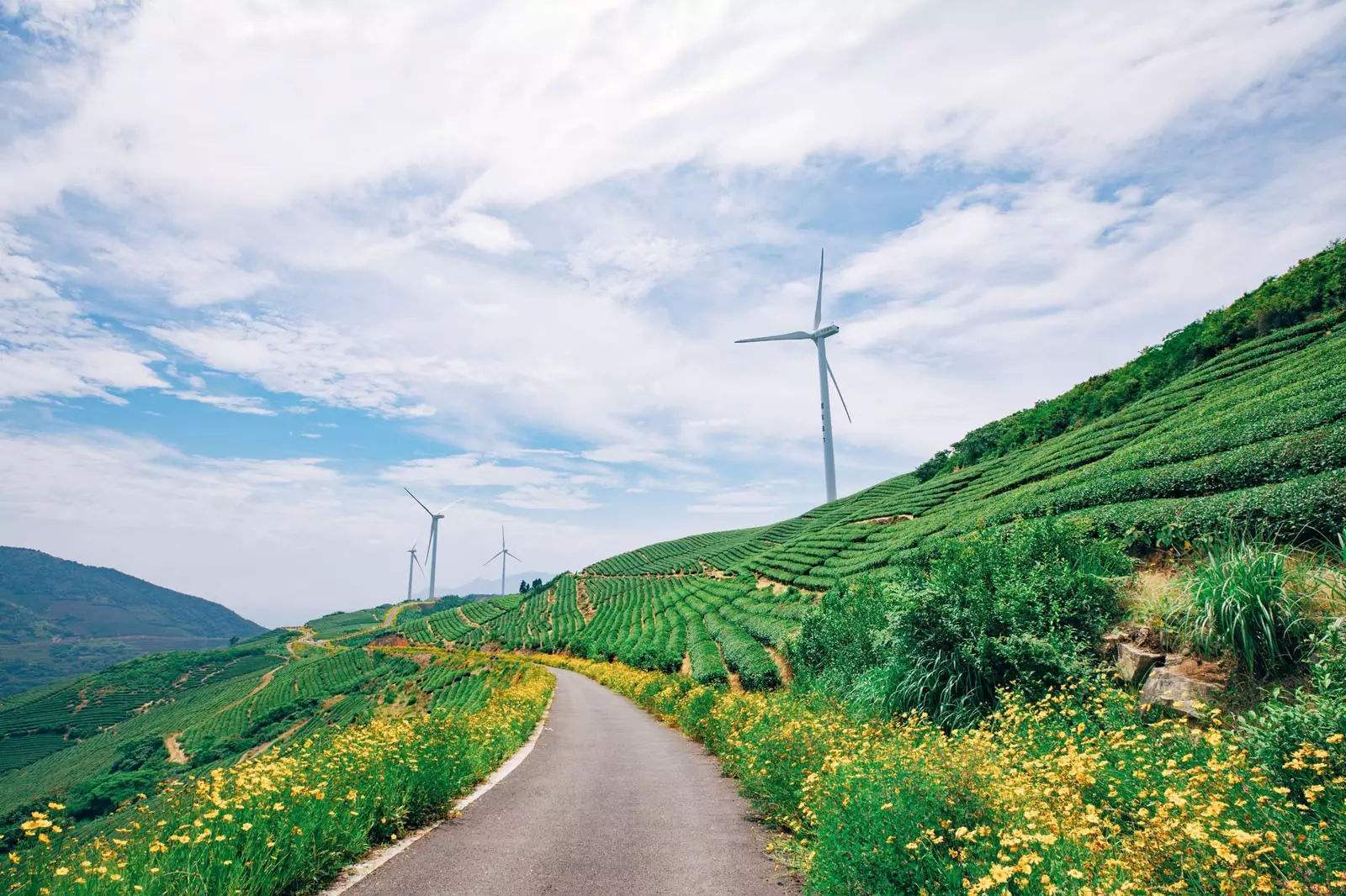 浙江4条令人心醉的盘山公路，每一条都充满难度，老司机跃跃欲试