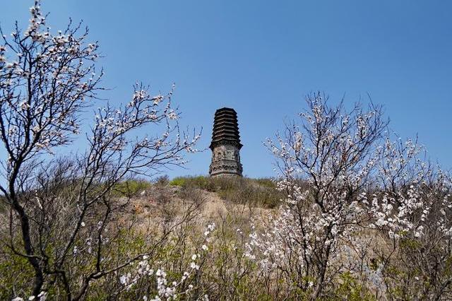 游十家子塔山塔：阜新最早的古塔，屹立千年不倒，为什么却被屈尊