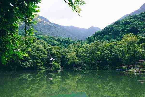 河源也算粤北山区？看看这些美丽的山林你就知道了！