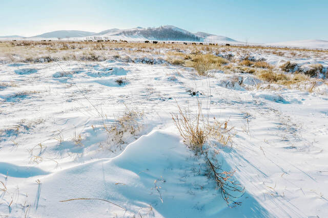 寂静如画的雪国！离北京车程5小时，冰天雪地如童话世界